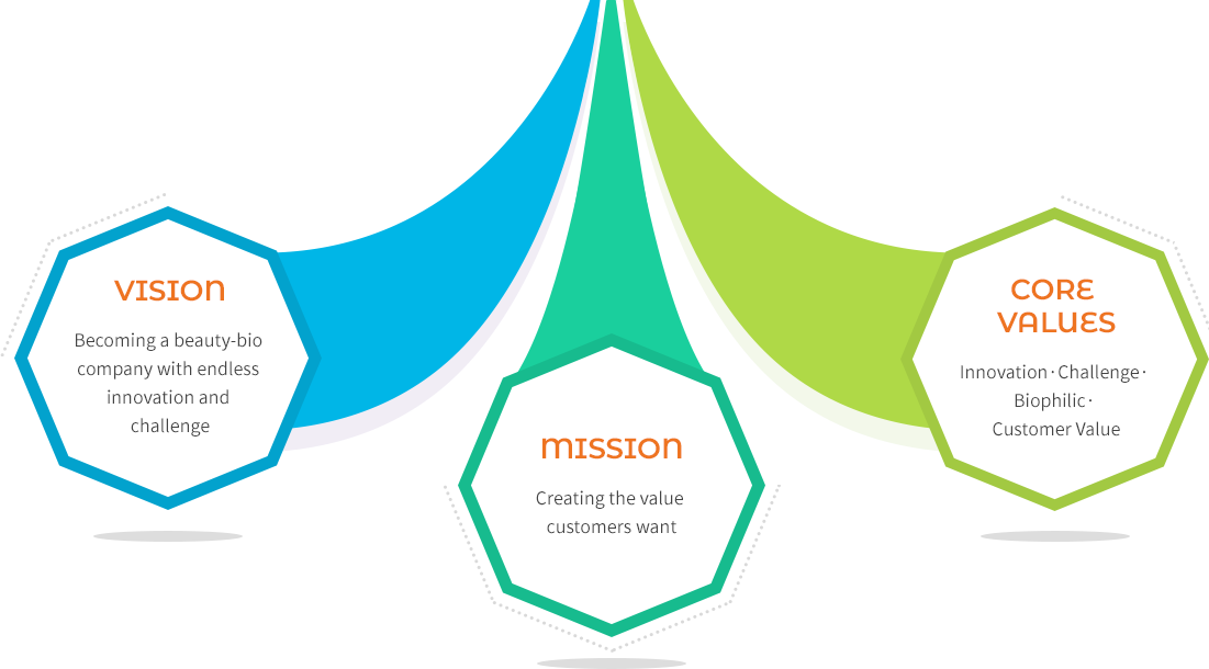 VISION MISSION 핵심가치